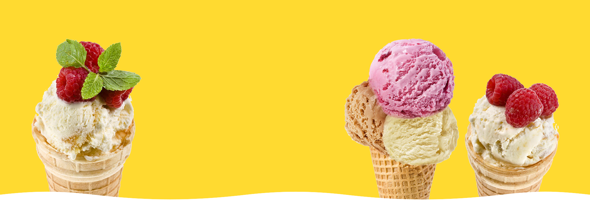 subbanner-01 subbanner-01